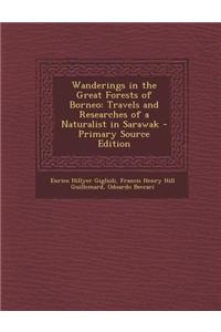 Wanderings in the Great Forests of Borneo: Travels and Researches of a Naturalist in Sarawak