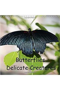 Butterflies Delicate Creatures 2017