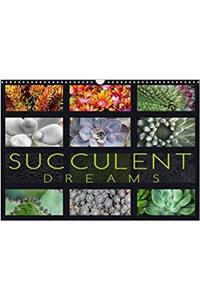 Succulent Dreams 2018