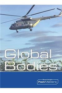 Steck-Vaughn Onramp Approach Fact Matters: Student Edition Grades 4 - 6 Global Bodies