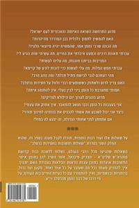 Breslov Responsa (Hebrew Volume 2)