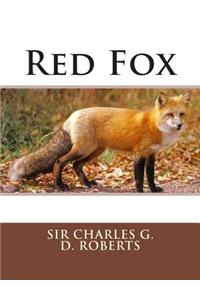 Red Fox