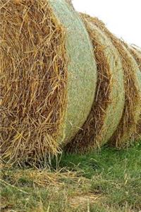 Freshly Rolled Straw Bales Journal