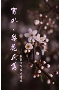 Pear Blossoms