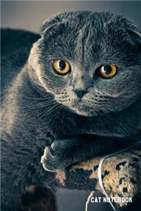 Cat Notebook