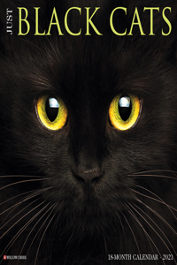 Just Black Cats 2021 Wall Calendar