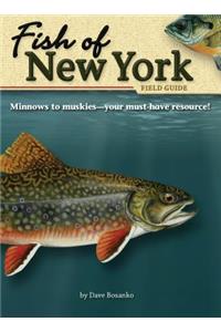 Fish of New York Field Guide