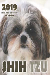 Shih Tzu 2019 Mini Wall Calendar (UK Edition)