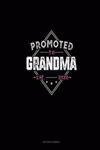 Promoted To Grandma Est. 2020
