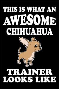 This is what an awesome Chihuahua Trainer Looks Like