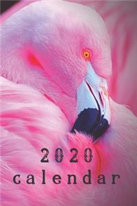 2020 Flamingo Calendar Planner Organizer