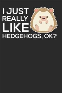 I Just Really Like Hedgehogs