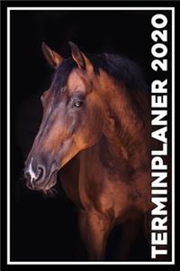 Terminplaner 2020