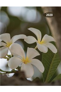 Low Vision Large Print 2020 Monthly & Weekly Planner Day-Month-Year