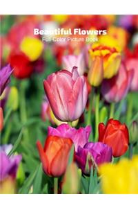 Beautiful Flowers Full-Color Picture Book