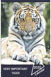 Very Important Tiger