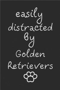 Easily distracted by Golden Retrievers