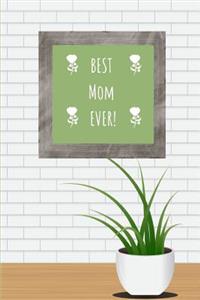 Best Mom Ever!