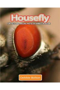 Housefly: Fun Facts and Amazing Photos of Animals in Nature
