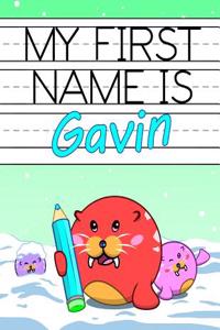 My First Name is Gavin