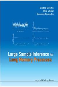 Large Sample Inference for Long Memory Processes