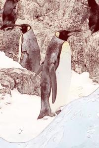 Penguin Notebook