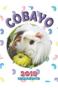 Cobayo 2018 Calendario (EdiciÃ³n EspaÃ±a)