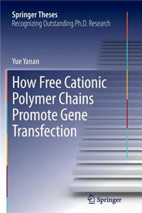 How Free Cationic Polymer Chains Promote Gene Transfection