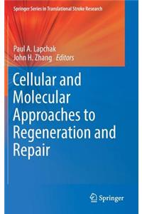 Cellular and Molecular Approaches to Regeneration and Repair