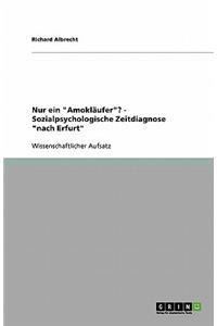 Nur ein Amokläufer? - Sozialpsychologische Zeitdiagnose nach Erfurt