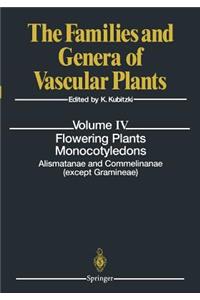 Flowering Plants. Monocotyledons