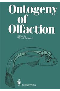 Ontogeny of Olfaction