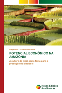 Potencial Econômico Na Amazônia