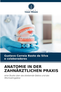 Anatomie in Der Zahnärztlichen Praxis