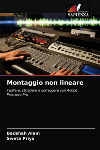 Montaggio non lineare