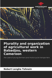 Plurality and organization of agricultural work in Babadjou, western Cameroon