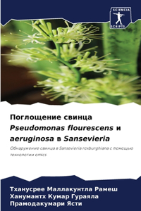 Поглощение свинца Pseudomonas flourescens и aeruginosa в Sansevieria