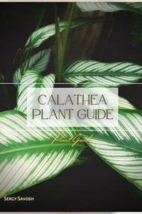 Calathea Plant Guide