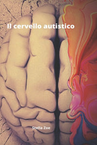 Il cervello autistico