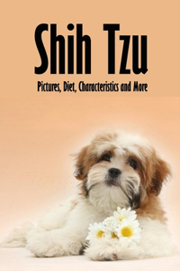 Shih Tzu