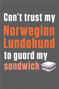 Can't trust my Norwegian Lundehund to guard my sandwich