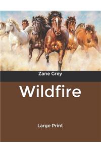 Wildfire