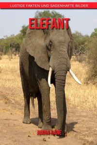 Elefant