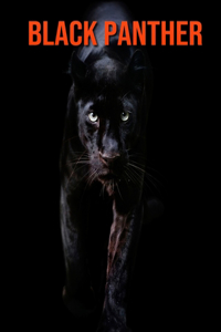 Black Panther