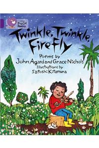 Twinkle, Twinkle, Firefly Workbook