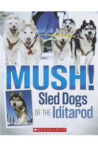 Mush!: Sled Dogs of the Iditarod