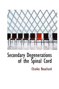 Secondary Degenerations of the Spinal Cord