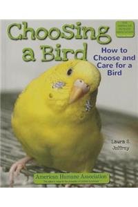 Choosing a Bird