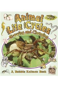 Animal Life Cycles: Growing and Changing