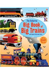 Usborne Big Book of Big Trains